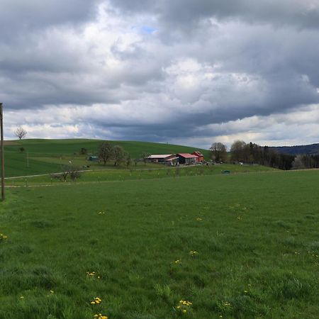 Ferienwohnung Hippenhof Hohenfels  Екстериор снимка