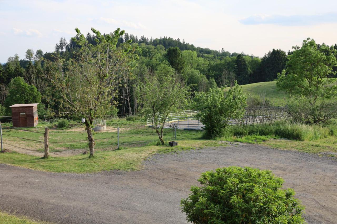 Ferienwohnung Hippenhof Hohenfels  Екстериор снимка