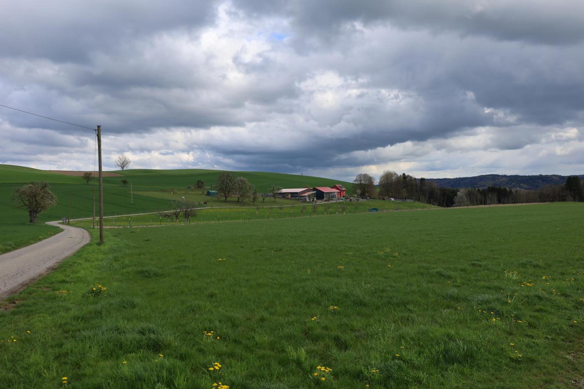 Ferienwohnung Hippenhof Hohenfels  Екстериор снимка
