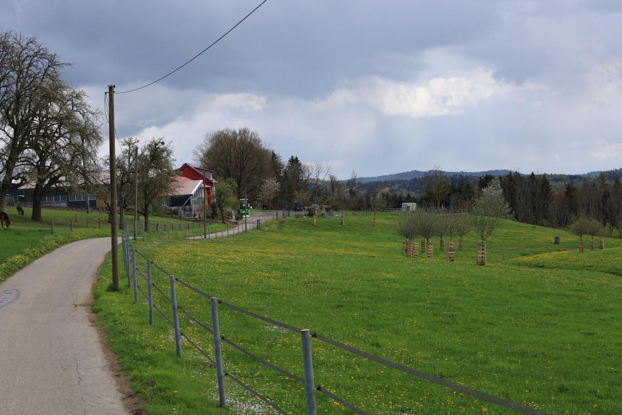 Ferienwohnung Hippenhof Hohenfels  Екстериор снимка